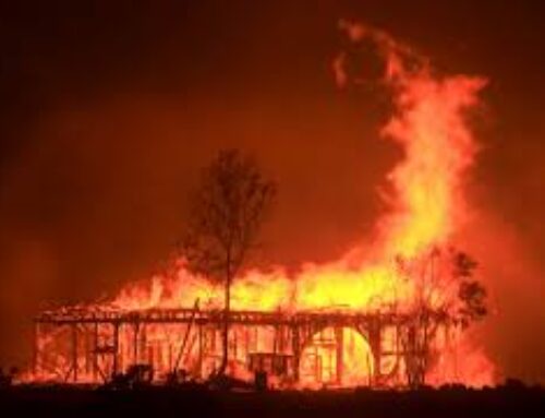 Wildfires: Small Business – Big Hearts