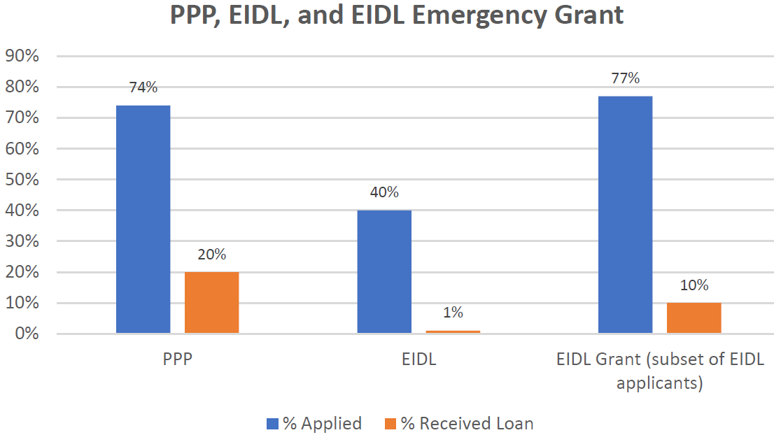 Business Owners Who Applied for Different SBA Loans and how many of them got it